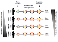 事实为什么ICB疗法在年轻女性肿瘤患者体内收效甚微？？？