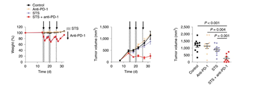 与比照组及仅使用PD-1疗法的模子小鼠比照，，，，，，，接纳短期饥饿配合PD-1疗法的393P细胞同源移植肿瘤小鼠体内的肿瘤体积有了显着的缩短。。。