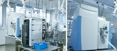 GA黄金甲DMPK剖析效劳