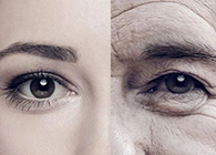 一种能够延伸寿命的降压药，，，你听说过吗？？？