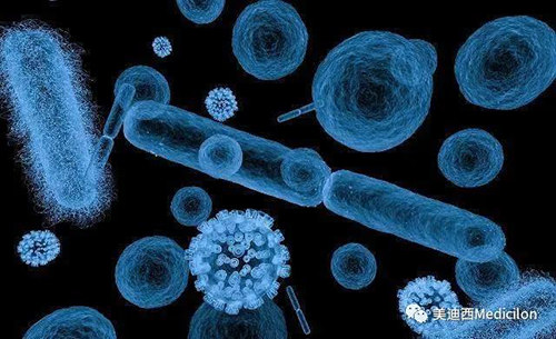 20分钟，，，大大都细菌都可以繁衍一代 GA黄金甲生物医药