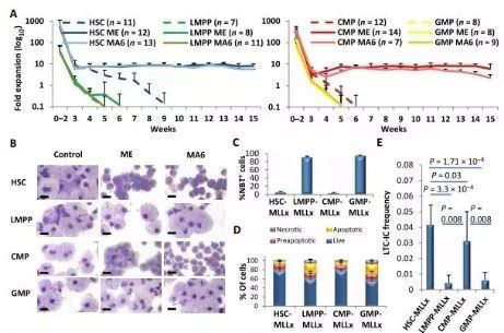 Science子刊：一种FDA批准的抗腹泻药物可有用对抗化疗的耐药性 GA黄金甲生物医药