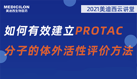 【云课堂】：怎样有用建设PROTAC分子的体外活性评价要领？？？？？？？