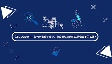 在ELISA实验，，，，，，怎样制备分子量小、免疫原性弱的多肽药物分子的抗体？？？？？？？