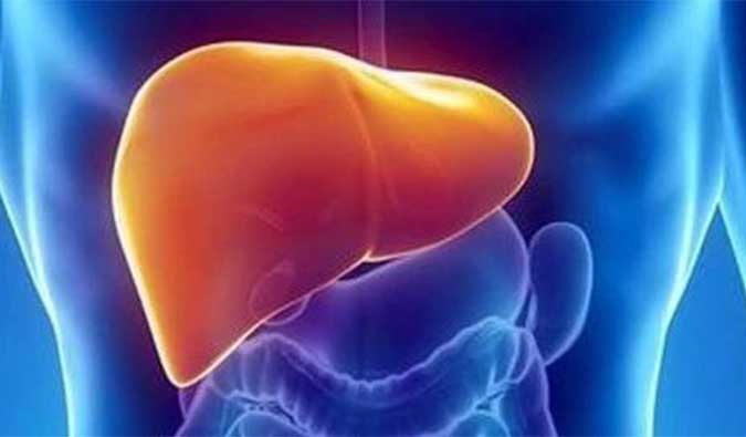 【GA黄金甲助力】NASH领域新希望！海普丁HPD001即将在美启动临床试验