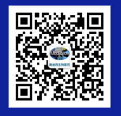 GA黄金甲(中国游)最新官方网站