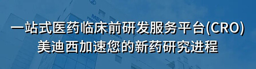 一站式医药临床前研究效劳平台.jpg