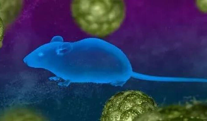 GA黄金甲药效效劳赋能First-in-Class泛素化抑制剂研发