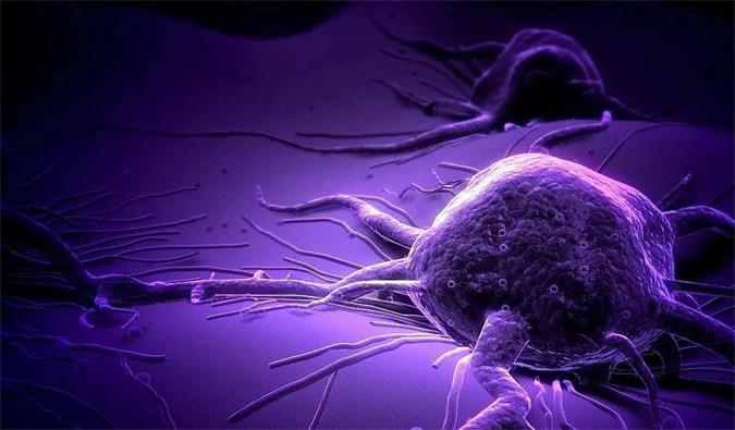 GA黄金甲助力轩竹生物研发的完全敲除岩藻糖的双抗ADC药物KM501获批临床