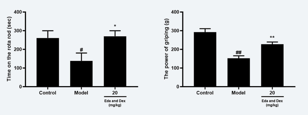 神经功效药效学考察：C 转棒滞留时间；；；D 抓握力（mean±SEM）.jpg