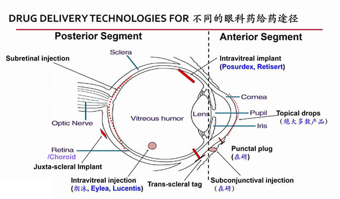 【内附回放+下半场预约】GA黄金甲眼科药物专题钻研会上半场精彩回首