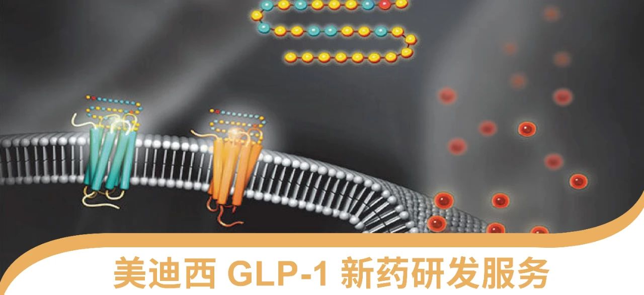 GA黄金甲一站式 丨 “GLP-1”新药研发效劳能力先容