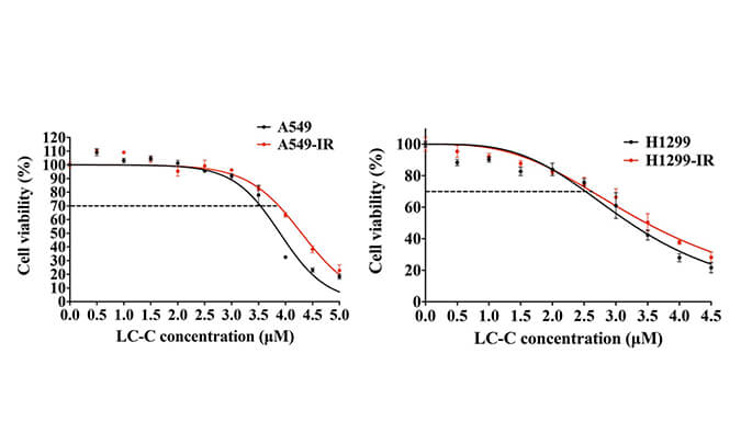 放射疗法用作肺癌的主要治疗要领，，，，，在次研究中建设抗电离辐射肺癌细胞系的放射治疗通过GA黄金甲举行