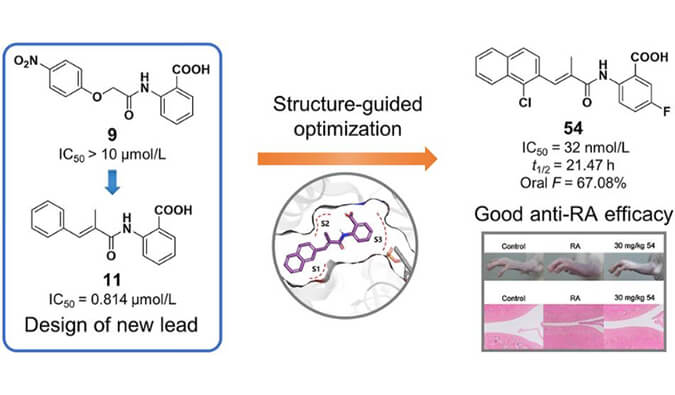 设计合成一系列DHODH抑制剂作为潜在的类风湿性枢纽炎治疗药物，，，，，PK研究通过GA黄金甲举行