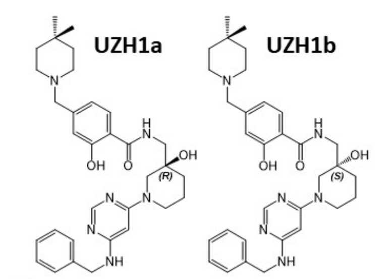 研究职员报告了一种具有细胞渗透性的选择性METTL3纳摩尔抑制剂UZH1a，，，，，，，作者谢谢GA黄金甲合成了UZH1a和UZH1b