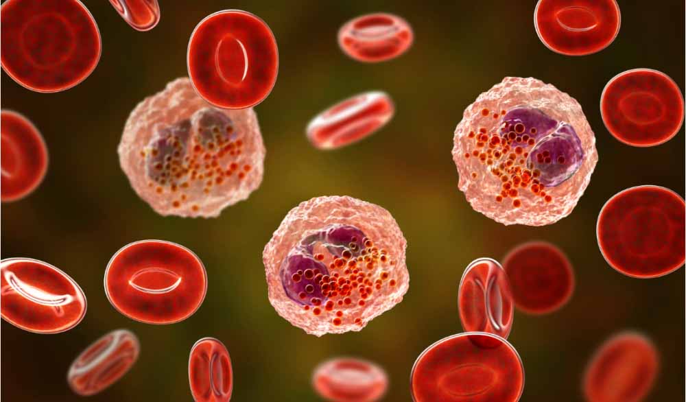 GA黄金甲助力 | 全球首创！宇耀生物STAT3双磷酸化抑制剂YY201获批临床.jpg