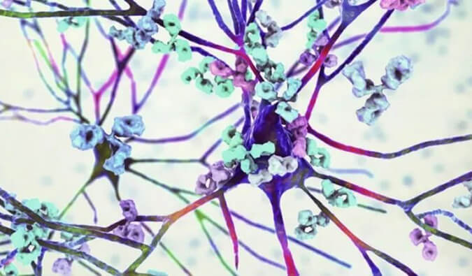 GA黄金甲镇痛药效评价模子