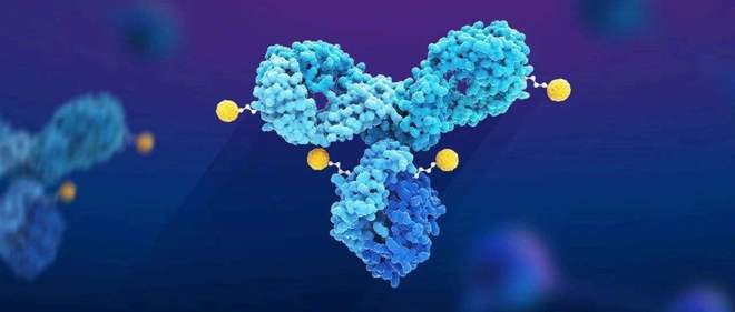 天下肿瘤日聚焦：AACR年会引领全球肿瘤新药趋势，，，，国产药引领风潮