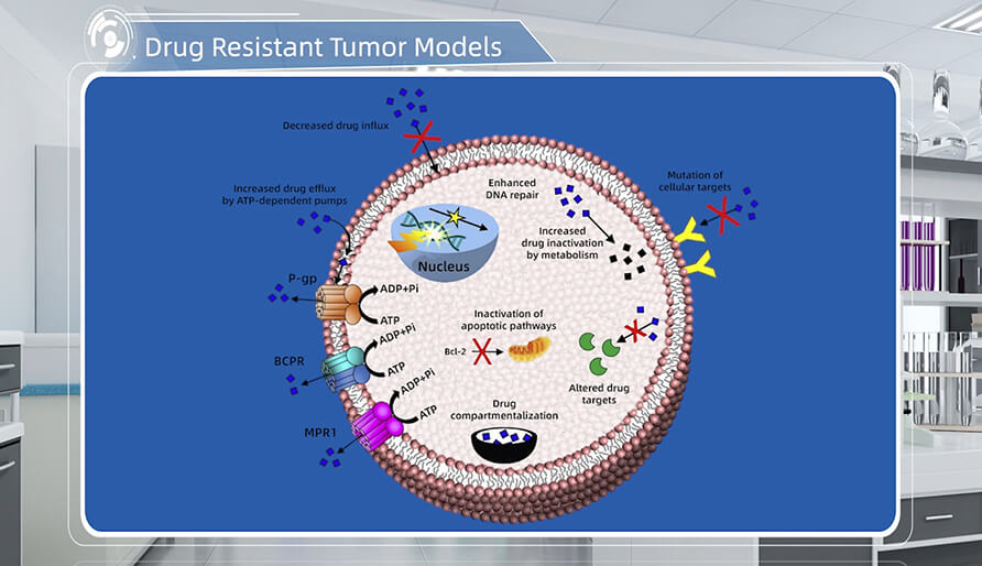 肿瘤耐药机制是什么？？？