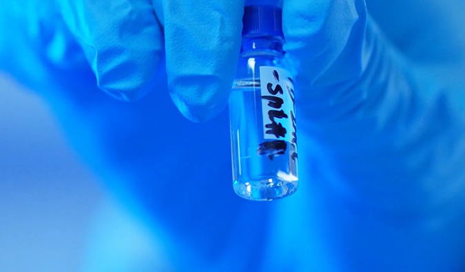 GLP-1“竞速赛”何以夺魁？？？