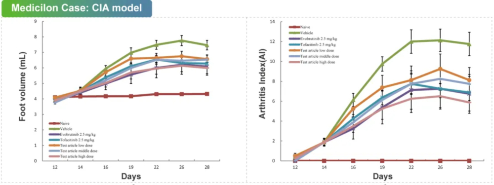 01 胶原诱导的枢纽炎模子.jpg