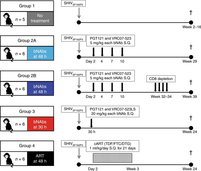 抗逆转录病毒疗法(ART)预防围产期HIV熏染，，，本研究中多替拉韦钠盐和游离态均由GA黄金甲提供